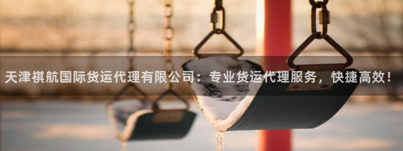 尊龙z6官网ag：天津祺航国际货运代理有限公司：专业货运