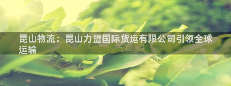 尊龙凯时平台信誉怎样：昆山物流：昆山力盟国际货运有限公司