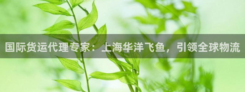 尊龙网站注册网：国际货运代理专家：上海华洋飞鱼，引领全球